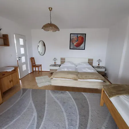 Apartment Forrás 2 *